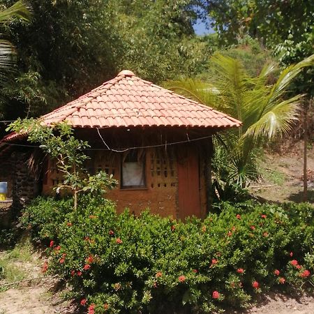 Ecopousada Casa Do Carimbo Fortalezinha Algodoal Εξωτερικό φωτογραφία