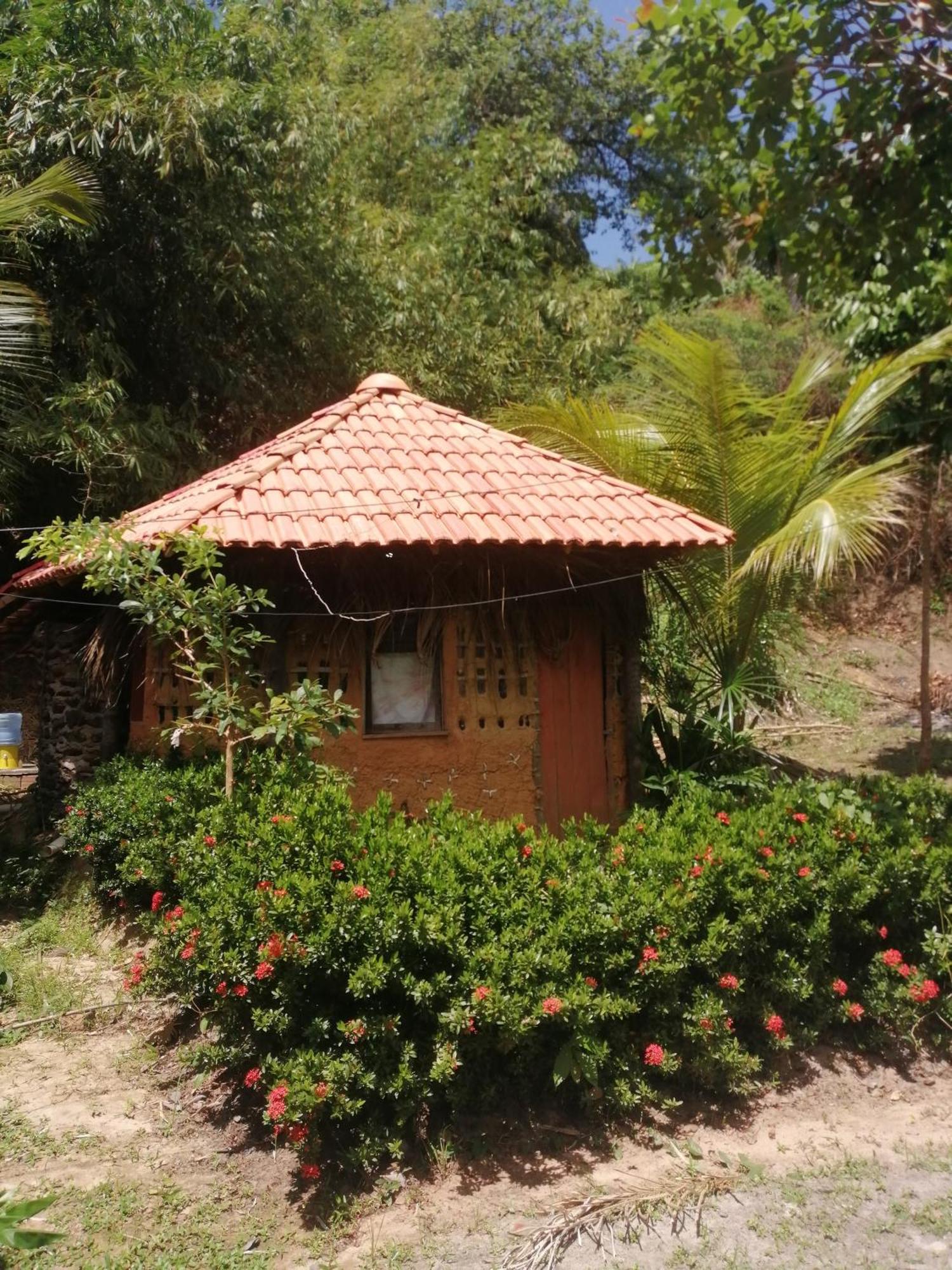 Ecopousada Casa Do Carimbo Fortalezinha Algodoal Εξωτερικό φωτογραφία